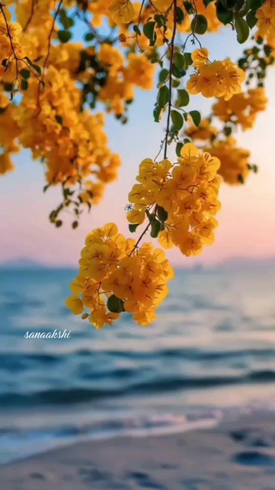 TikTok video thumbnail by sanaakshi
