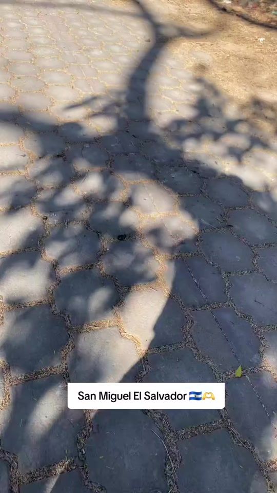 TikTok video thumbnail by elsalvador.652