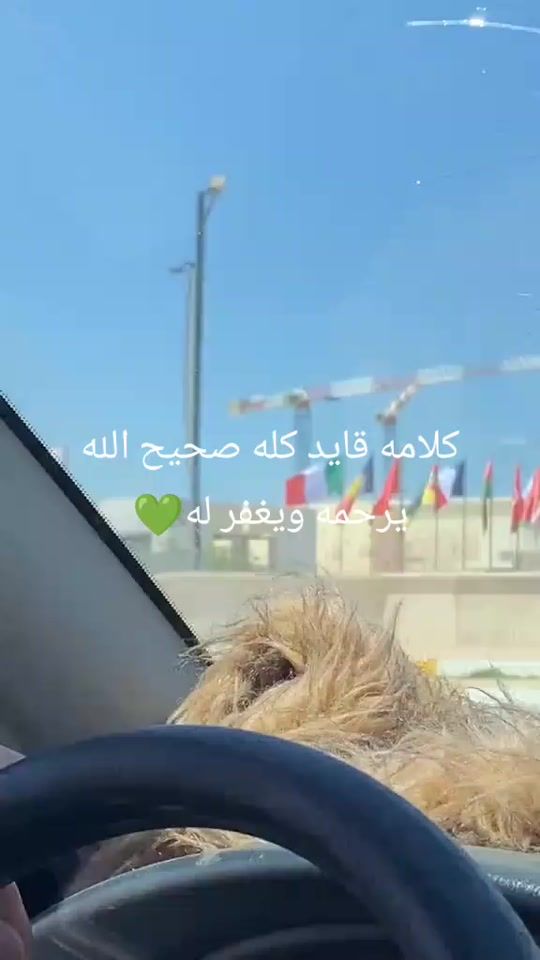 TikTok video thumbnail by gmailsearch15