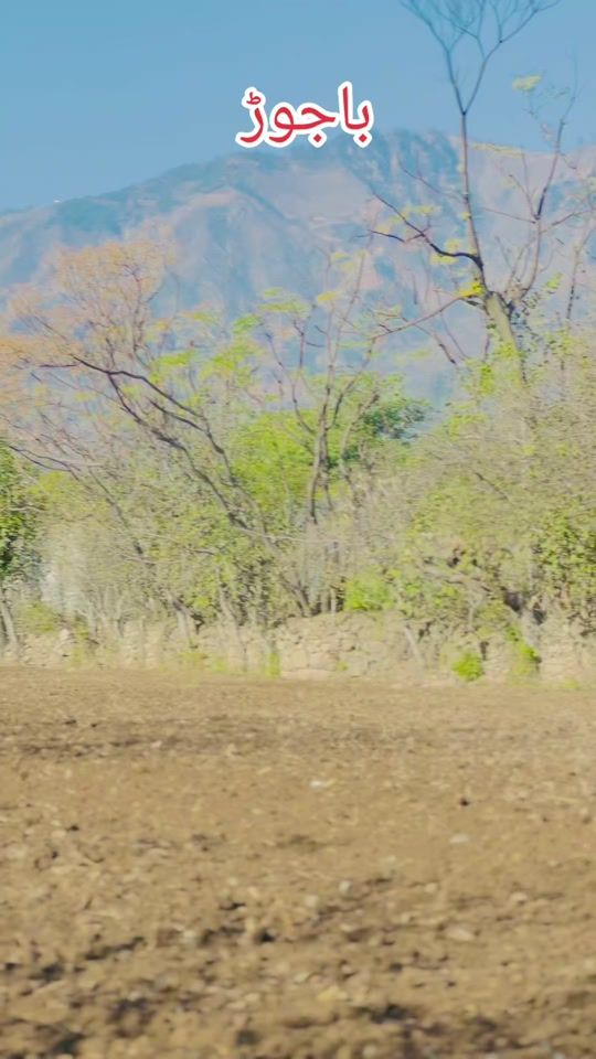 TikTok video thumbnail by bajaur1414