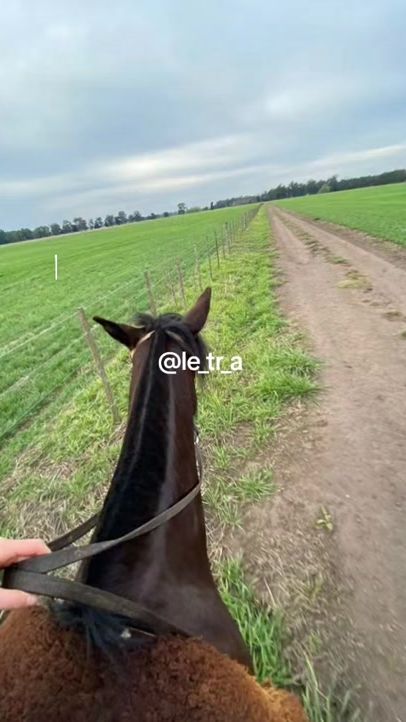 TikTok video thumbnail by le_tr_a