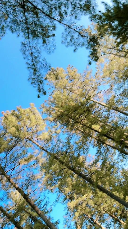TikTok video thumbnail by kubrakhan665