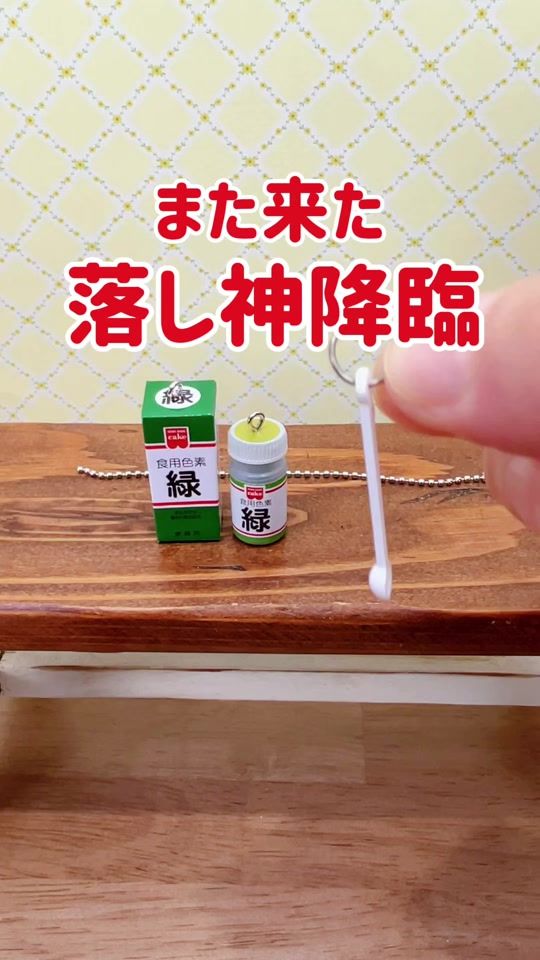 TikTok video thumbnail by miniatureroom1