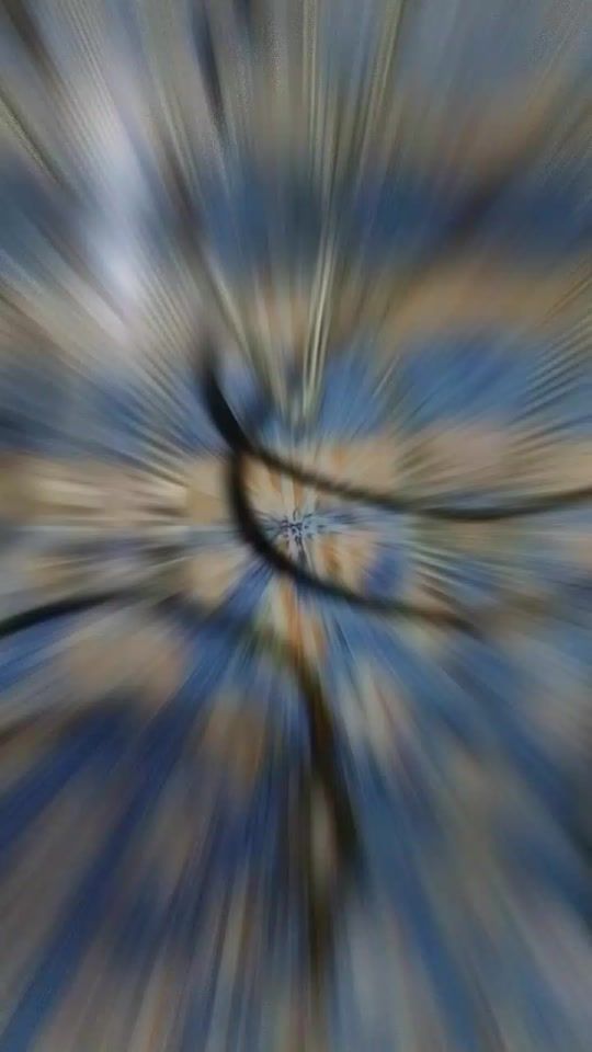 TikTok video thumbnail by abbeelovegmail.com2