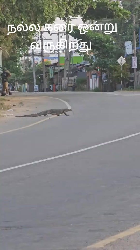 TikTok video thumbnail by kfkf015