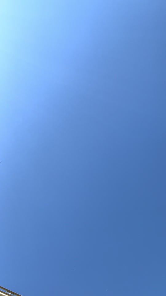 TikTok video thumbnail by tuti_dank