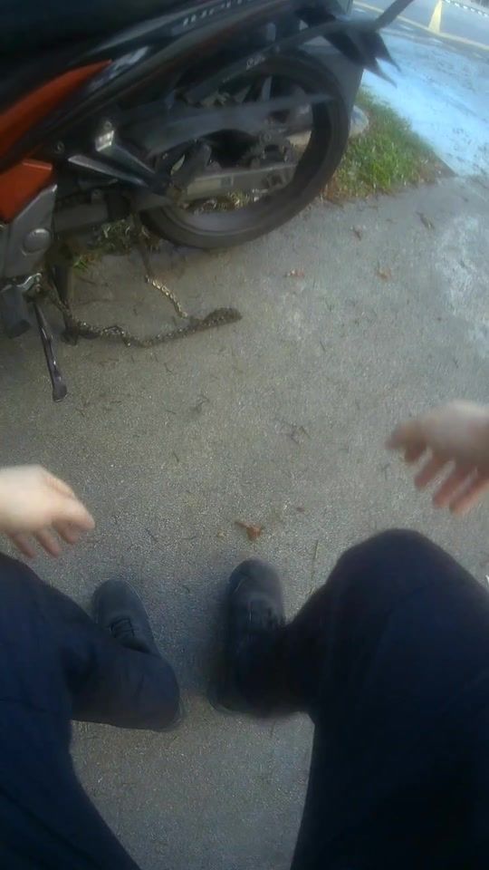 TikTok video thumbnail by wowwheelsonwheelssg