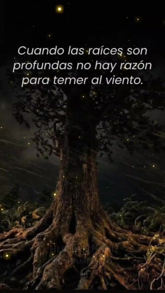 TikTok video thumbnail by ernesto_n_adame