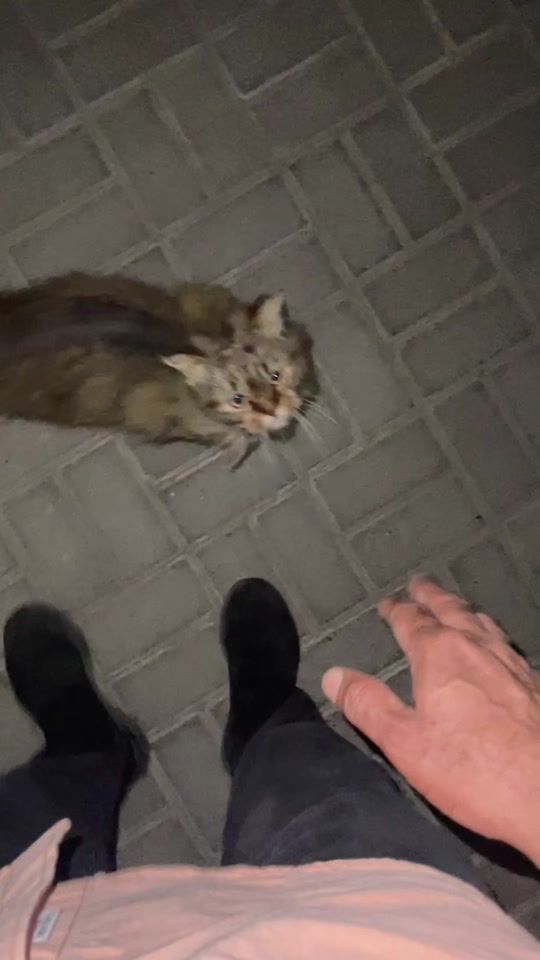 TikTok video thumbnail by abdul_bari_oman