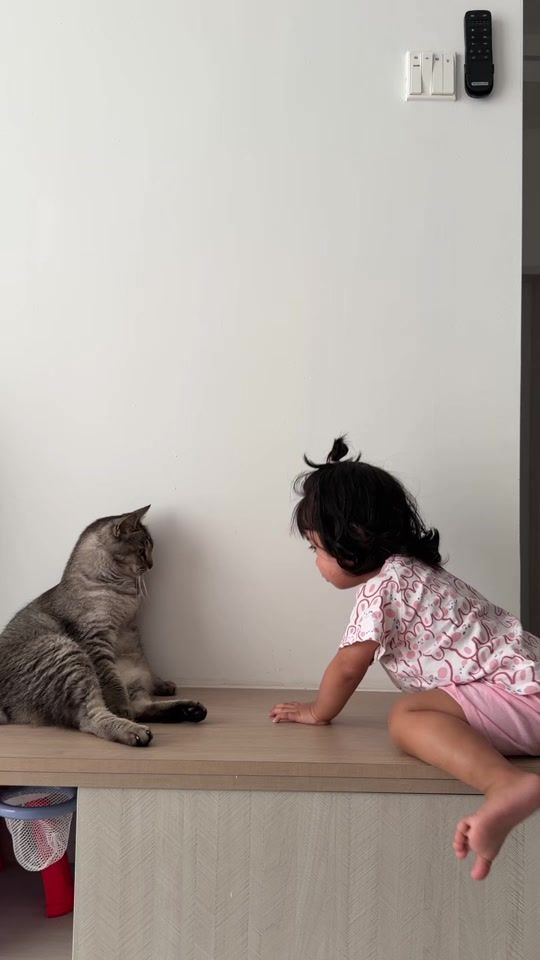 TikTok video thumbnail by kuchisikoceng