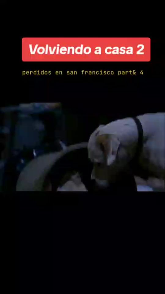 TikTok video thumbnail by frannauta92