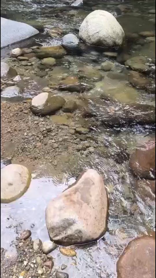 TikTok video thumbnail by patoxbeth