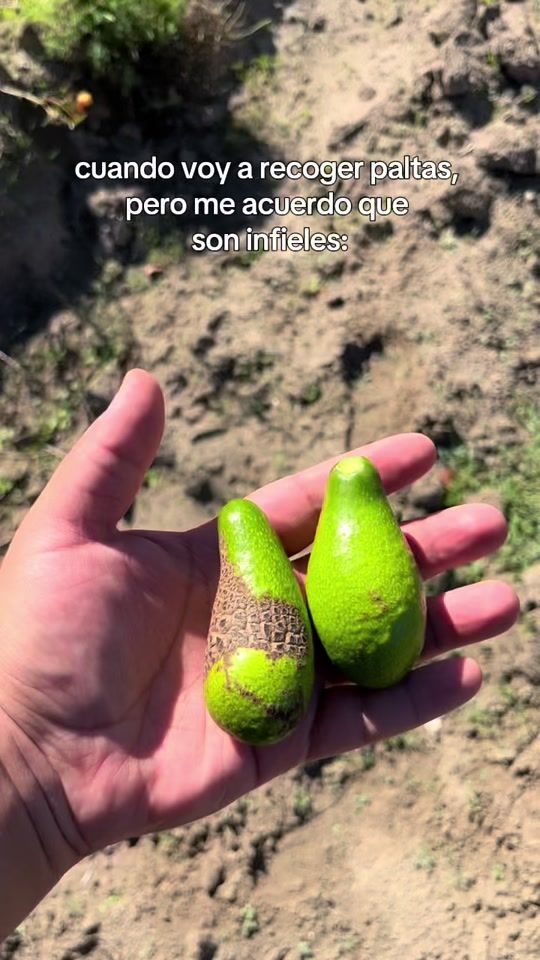 TikTok video thumbnail by el.pedropablo