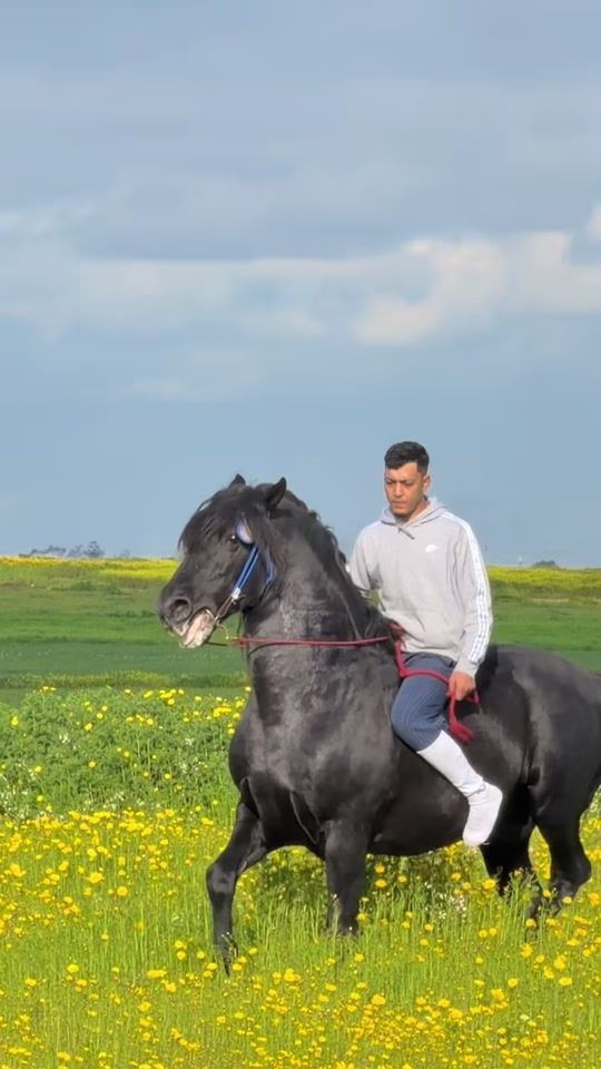 TikTok video thumbnail by youssef_dlh