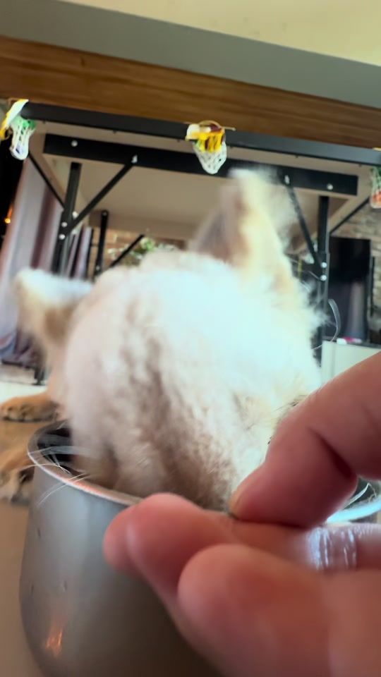 TikTok video thumbnail by nesjatiyaa