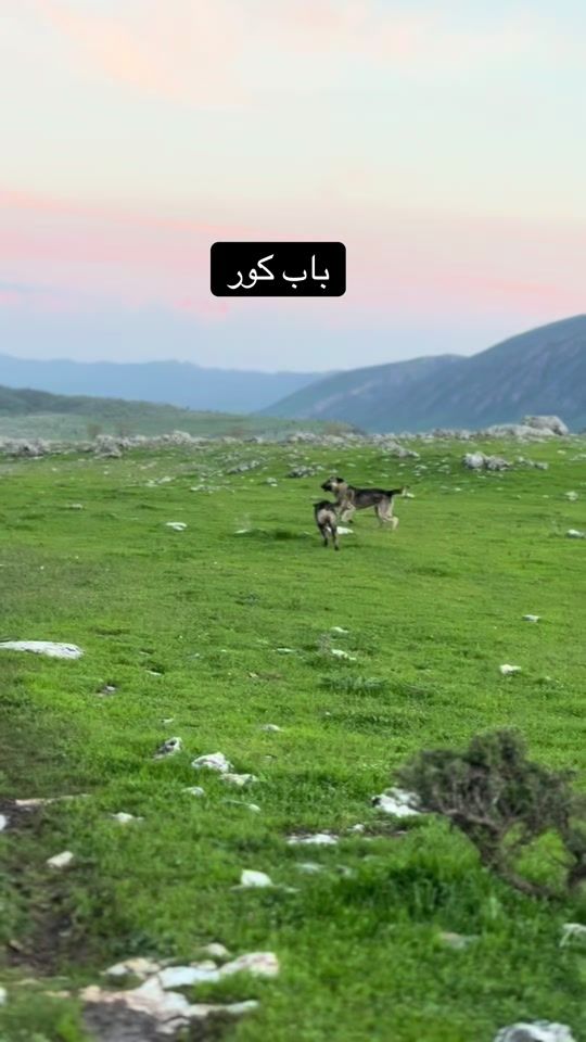 TikTok video thumbnail by hiran801