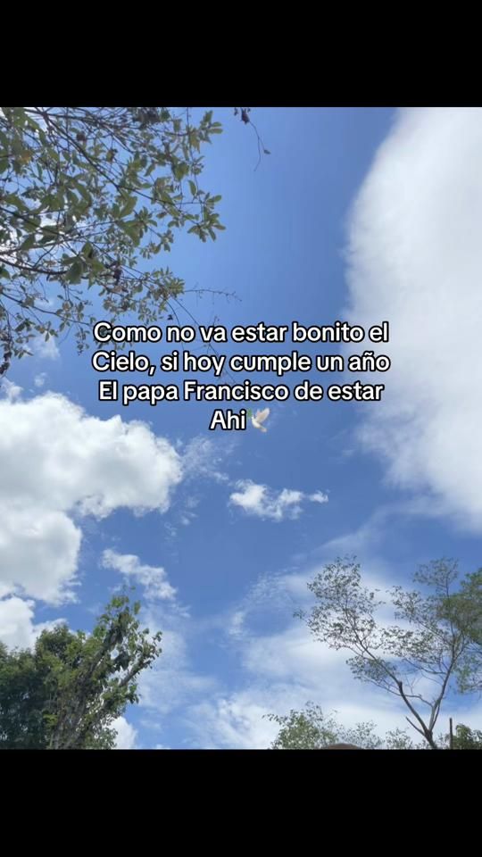 TikTok video thumbnail by dinorah067