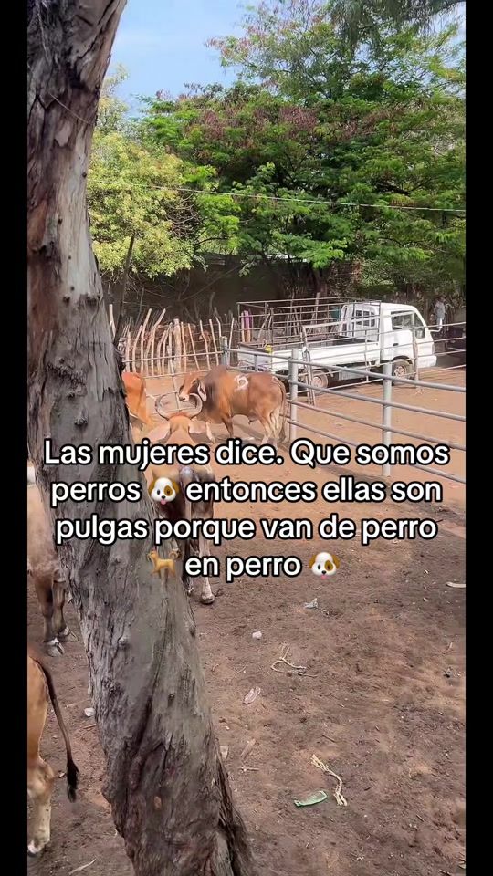 TikTok video thumbnail by ale_sv503