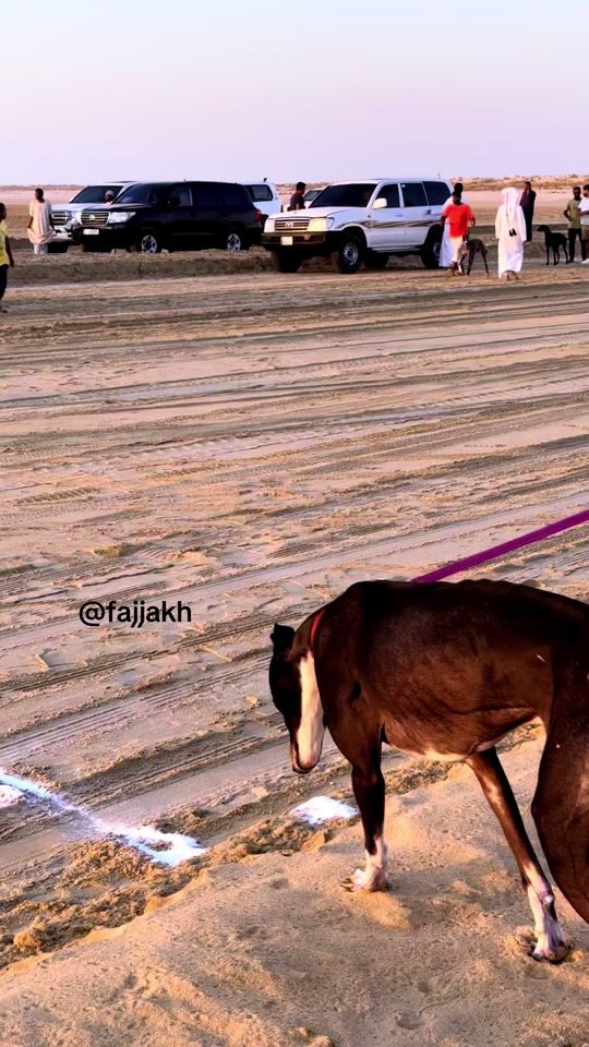 TikTok video thumbnail by fajjakh0