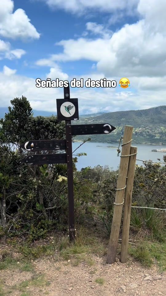 TikTok video thumbnail by palejaz