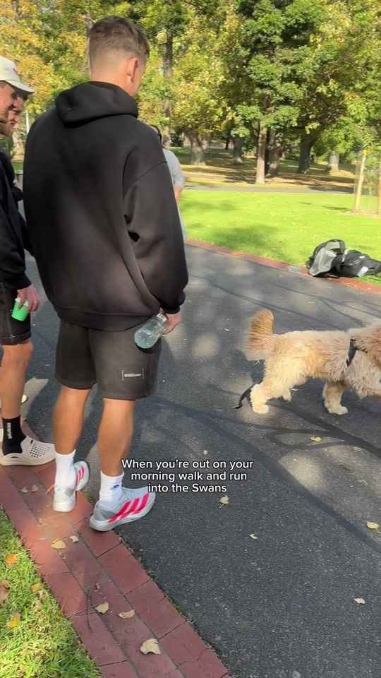 TikTok video thumbnail by sydneyswans