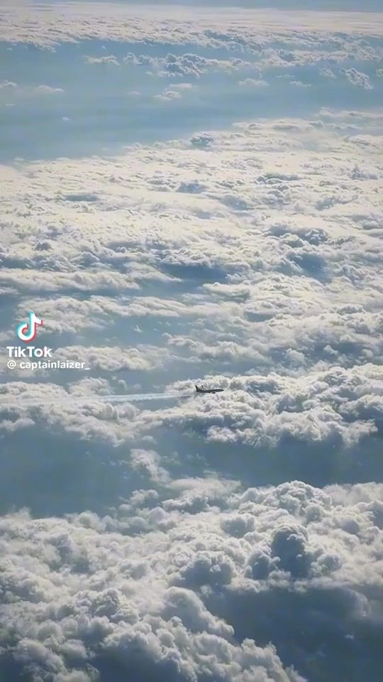 TikTok video thumbnail by dcihillarious