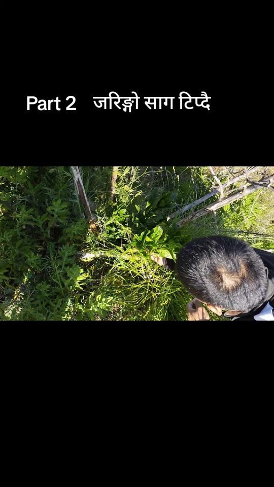 TikTok video thumbnail by kalyantamang576