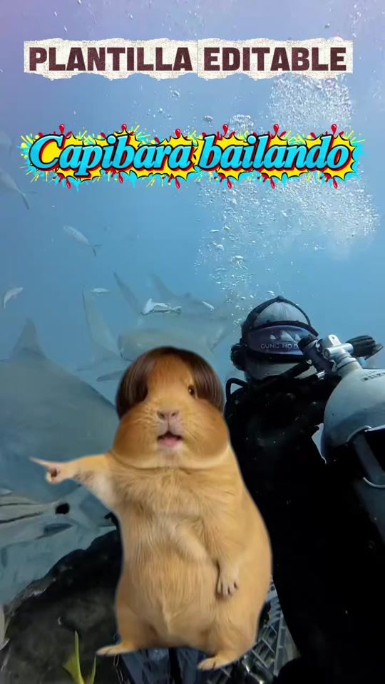 TikTok video thumbnail by ..skipper