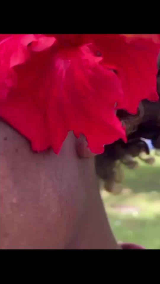 TikTok video thumbnail by loquaciouschinchilla
