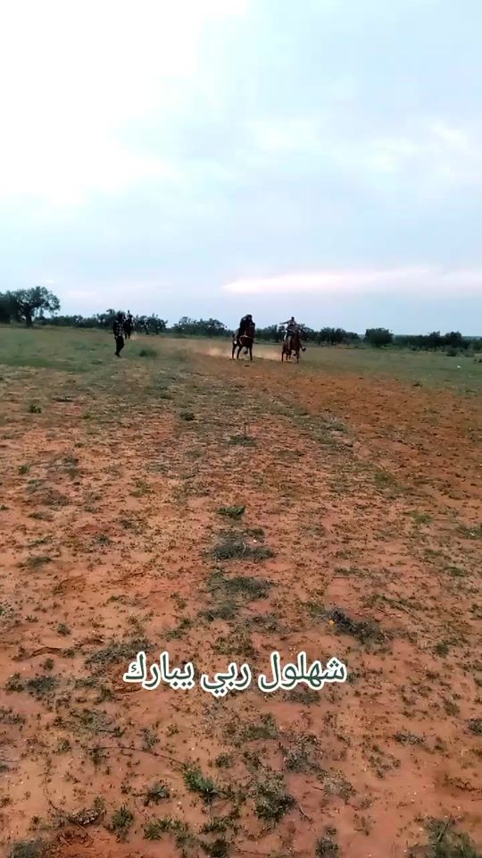 TikTok video thumbnail by benrbehmakrem