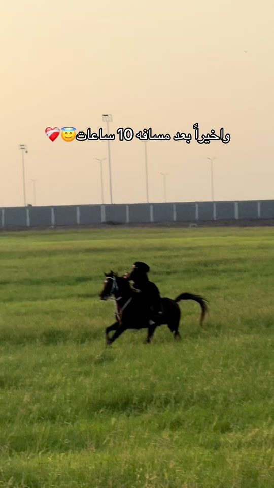 TikTok video thumbnail by usus.23