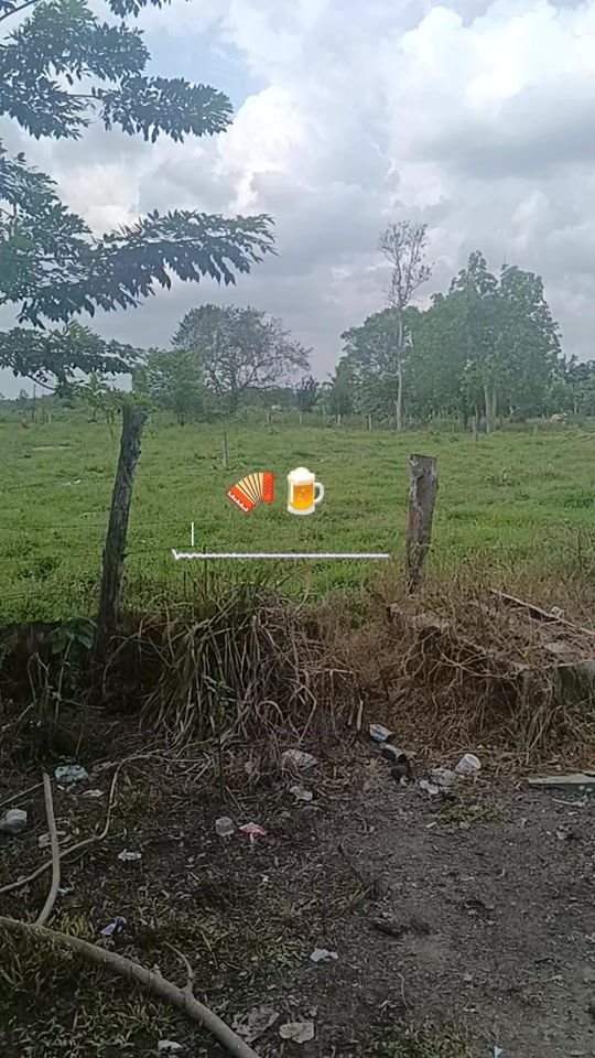 TikTok video thumbnail by soysoloexitosfavoritos