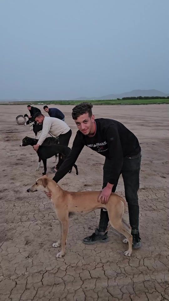 TikTok video thumbnail by houssamhoussam246