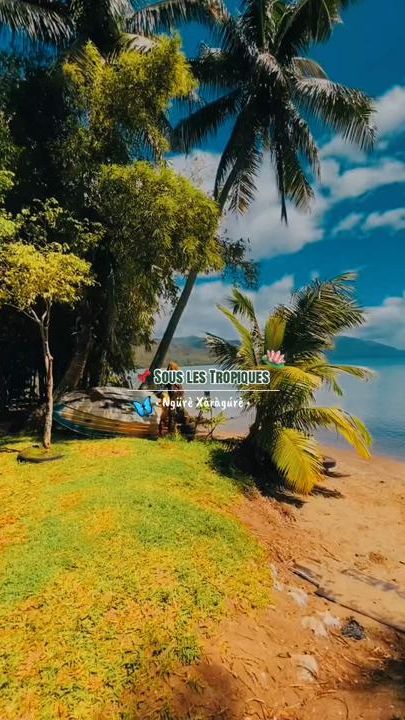 TikTok video thumbnail by _n3j.kd