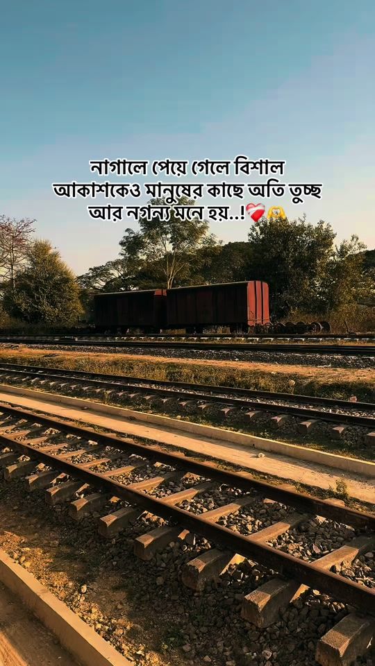 TikTok video thumbnail by priyonthini.priya