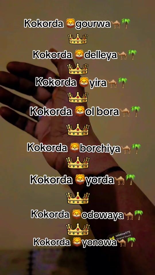 TikTok video thumbnail by .bent.borko