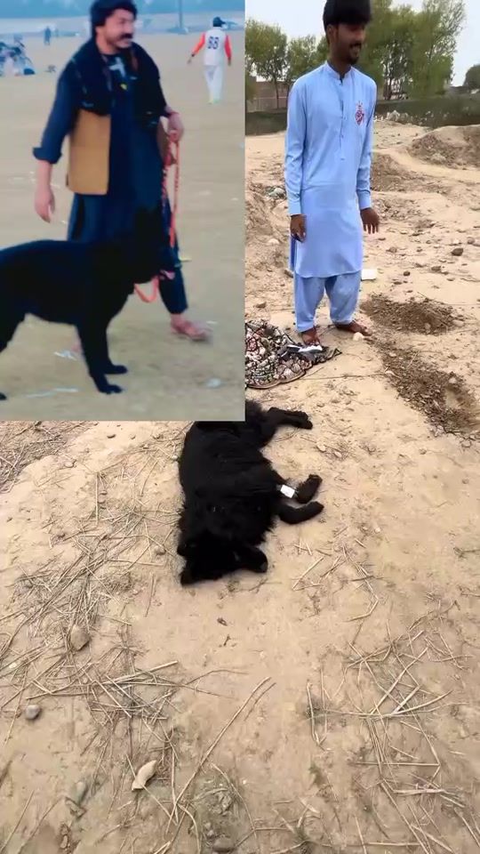 TikTok video thumbnail by outking99121