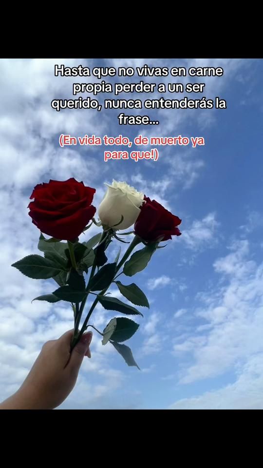 TikTok video thumbnail by mariby_c