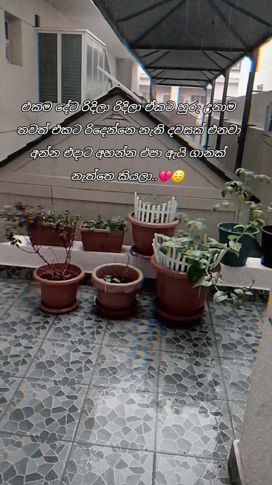 TikTok video thumbnail by darshana568
