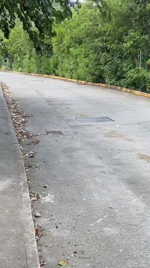 TikTok video thumbnail by doit_proveit