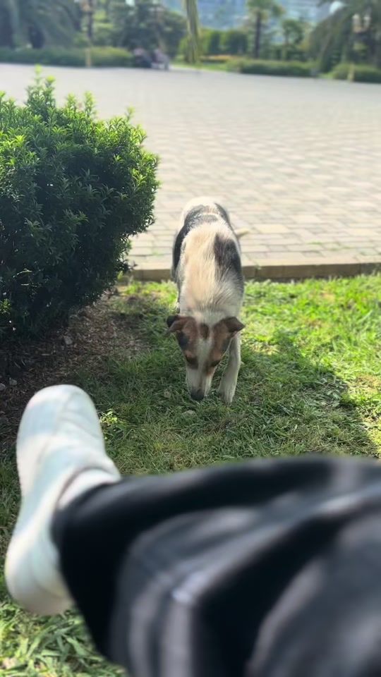 TikTok video thumbnail by _unknown_042_