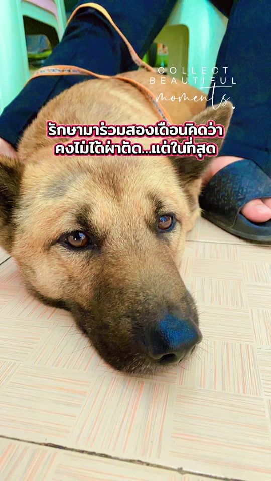 TikTok video thumbnail by tued8899