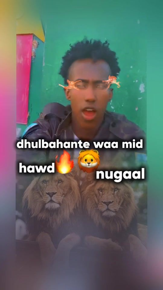 TikTok video thumbnail by generalholac1