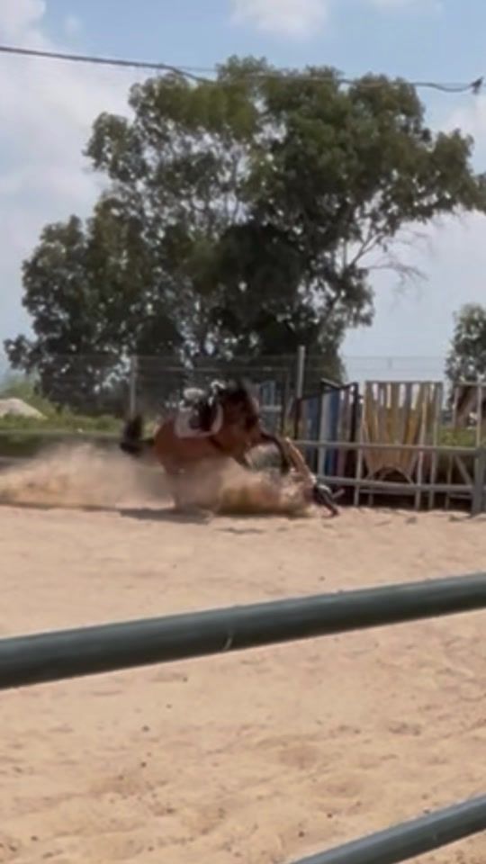 TikTok video thumbnail by tanikr2