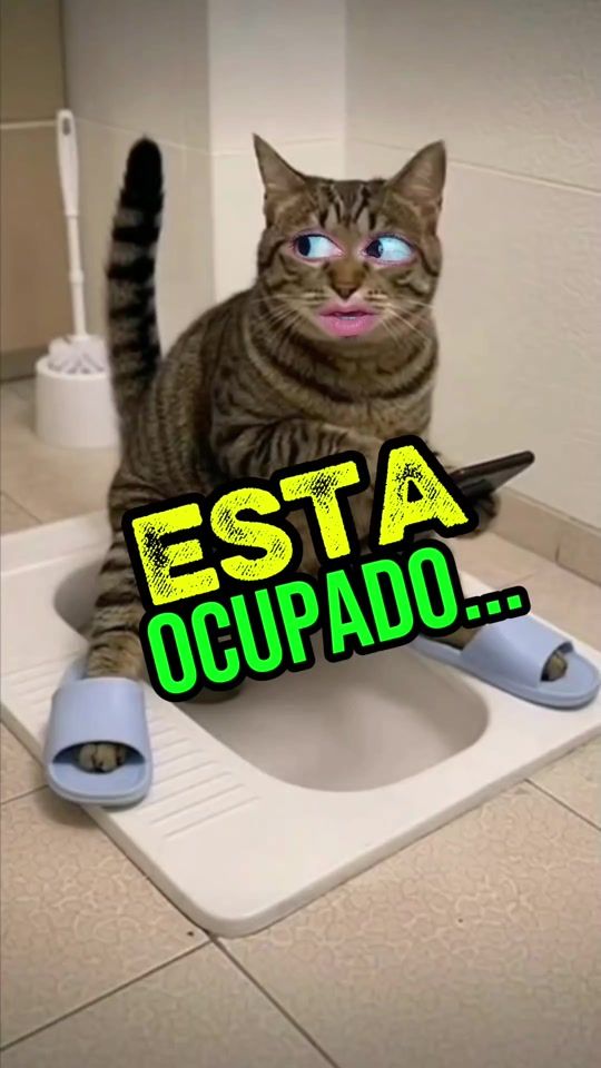 TikTok video thumbnail by soygermancho002