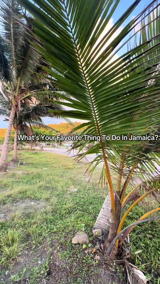 TikTok video thumbnail by needletours