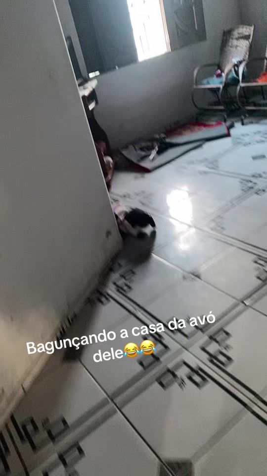 TikTok video thumbnail by rayaraujo38