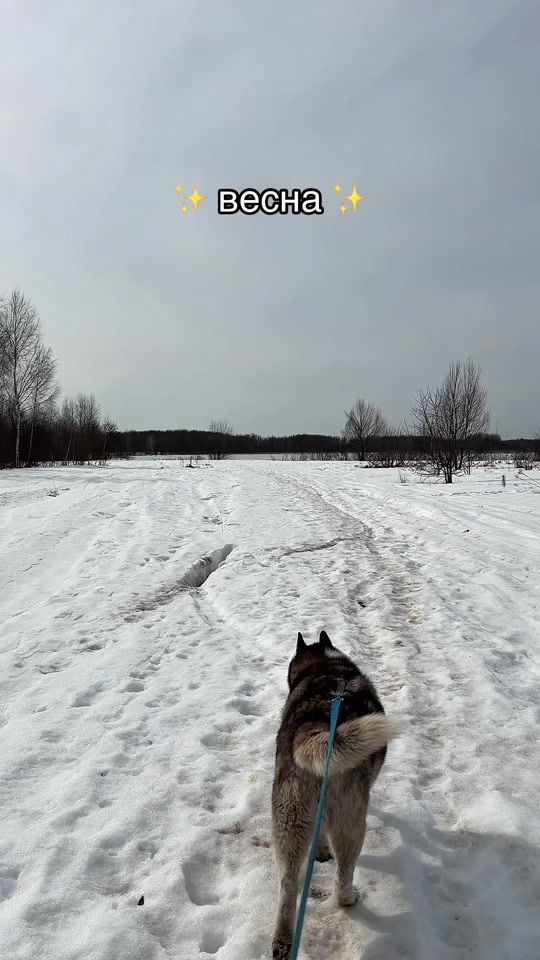 TikTok video thumbnail by abrmva.a