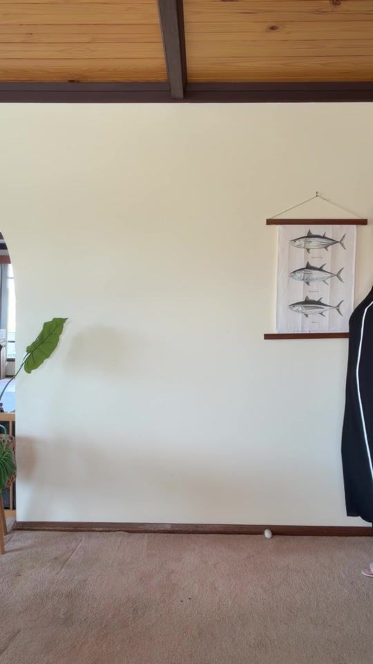 TikTok video thumbnail by katie_parrott