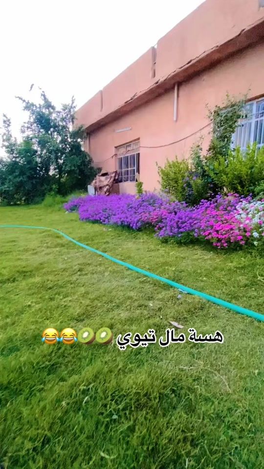 TikTok video thumbnail by ikz_r25